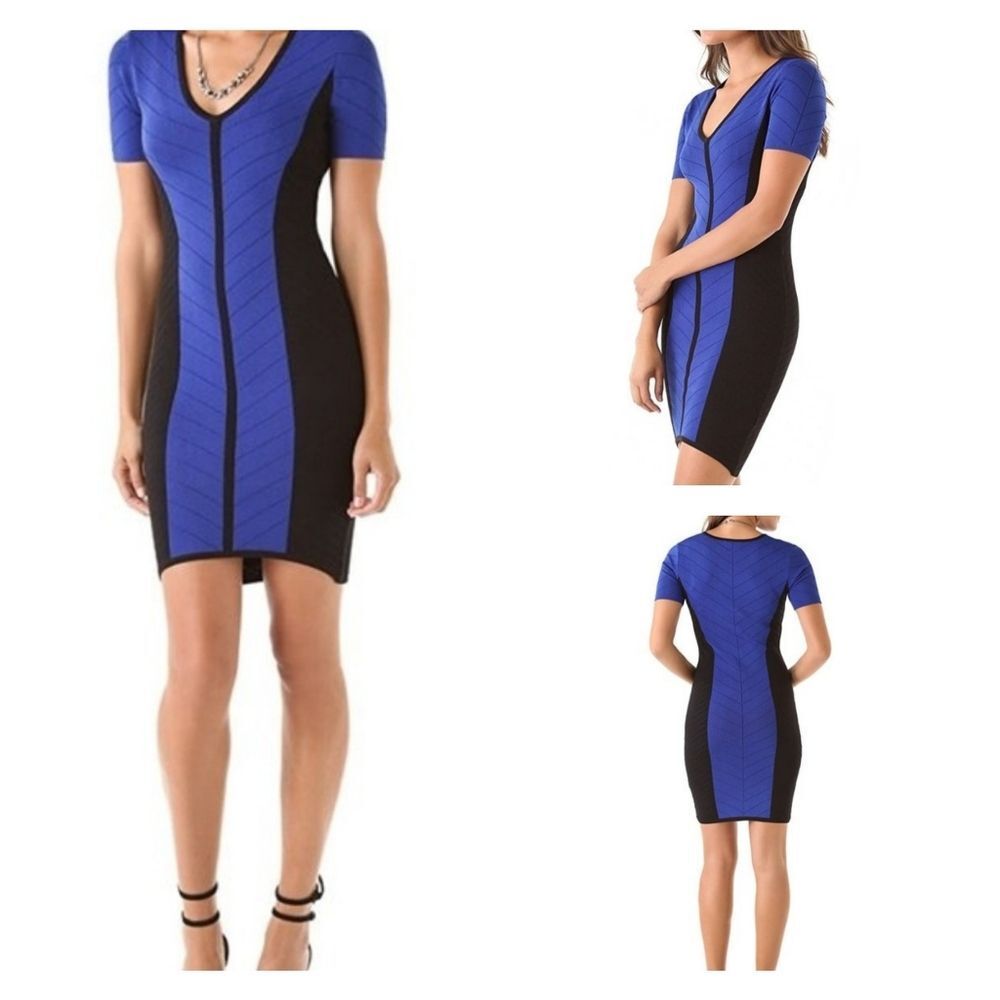 Torn by Ronny Kobo Caterina‎ Bodycon Mini Dress